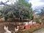 Immagine 26