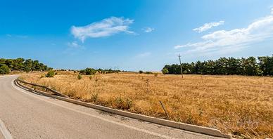 16.000 metri di terra zona Altamura-pescariello