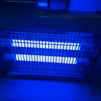 Lampada insetticida UV