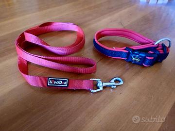 Collare e guinzaglio cani tg.S-M