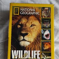 DVD "ANIMALI SELVAGGI"