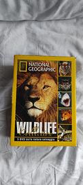 DVD "ANIMALI SELVAGGI"