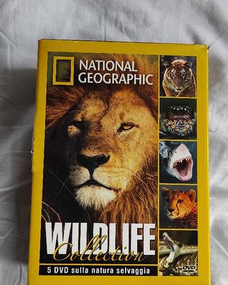 DVD "ANIMALI SELVAGGI"