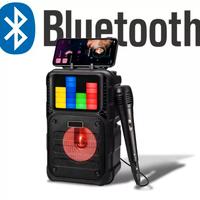 Altoparlante Bluetooth Karaoke Portatile con Micro