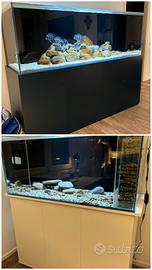 Due stupendi acquari