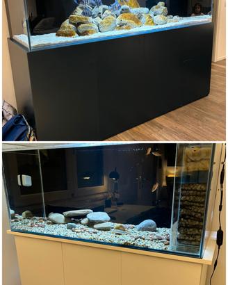 Due stupendi acquari