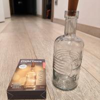 Bottiglia con lucine led