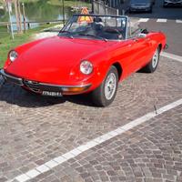 Alfa Duetto anno 1975