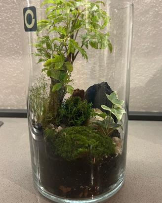 Terrario tropicale
