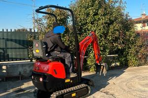E213 Mini escavatore Neuson 10 q carro allargabile
