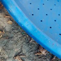 Cuccia da interni per cane taglia piccola  e gatto