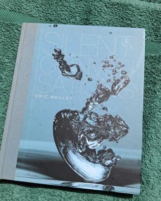 Silent Conversation – Eric Maillet – Damiani 2015