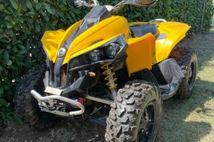 Quad Can am renegade 800r