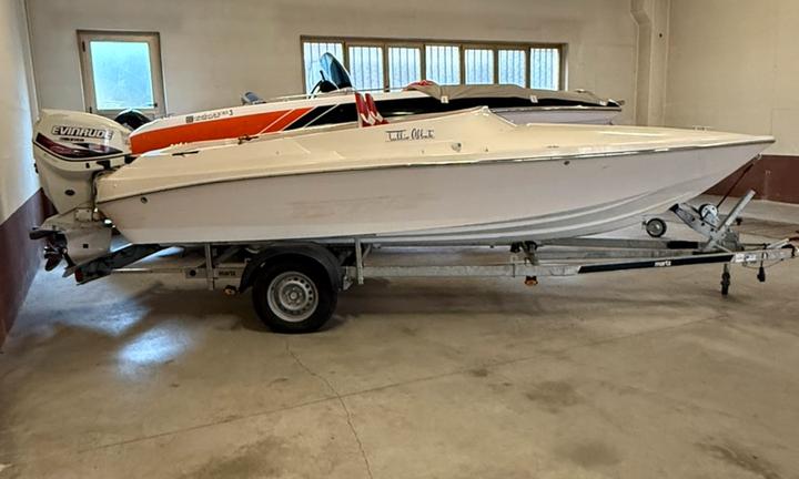 Tullio Abbate sea star junior