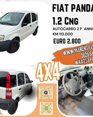 Fiat Panda 1.2 Dynamic Natural Power 4x4