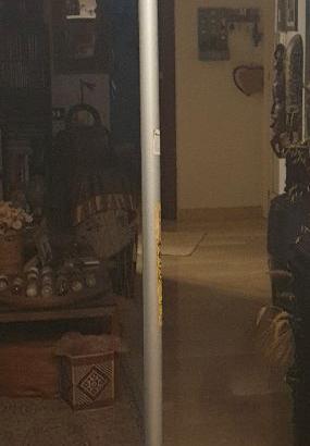 abbacchiatore per la raccolta delle olive