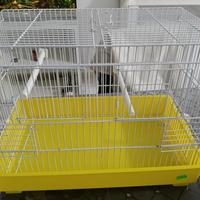 gabbia per uccelli 