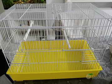 gabbia per uccelli 
