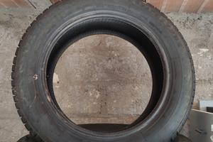 pneumatici Firestone 205 55 r16