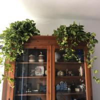 armadio vetrina da soggiorno: 6 cassetti, 4 ruote