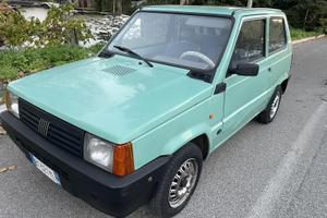 Panda young verde
