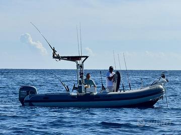Gommone  Selva 560 fishing