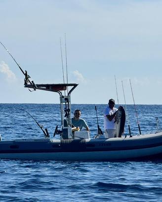Gommone  Selva 560 fishing