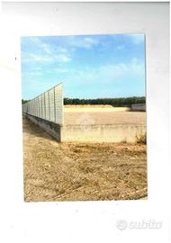 TER. AGRICOLO A STORNARA