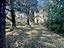 Immagine 10