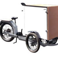 Cargo bike a pedalata assistita