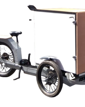 Cargo bike a pedalata assistita
