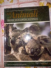 "Grande enciclopedia "