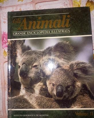 "Grande enciclopedia "