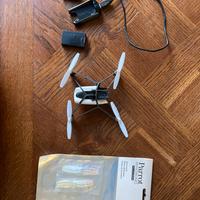 Drone parrot
