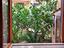 Immagine 21