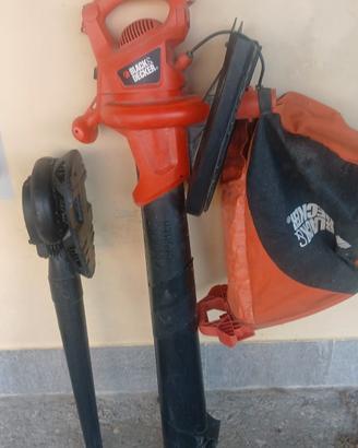Aspira-soffia foglie Black & Decker