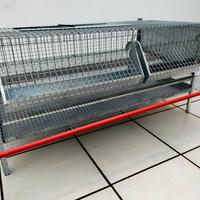 gabbia per ovaioli 