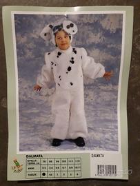 Costume carnevale Dalmata