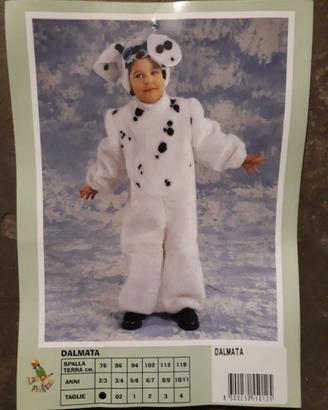 Costume carnevale Dalmata