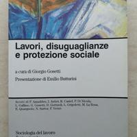 Lavori, disuguaglianze e protezione sociale