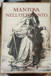 Mantova nell'ottocento