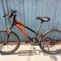 mountain bike scout