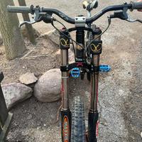 Bici da Downhill Mountain bike