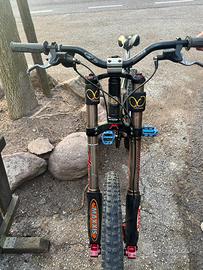 Bici da Downhill Mountain bike