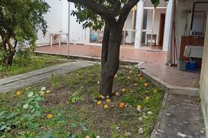 Centralissima bilivelli