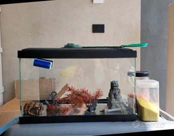 Acquario 20 lt