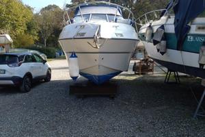 Four Winns 258 vista