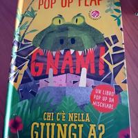 libri pop up 