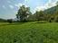 Immagine 20