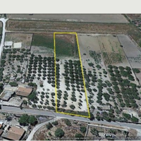 Terreno agricolo